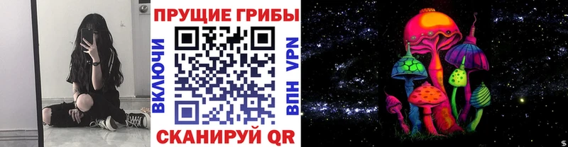наркотики Набережные Челны Галлюциногенные грибы прущие грибы